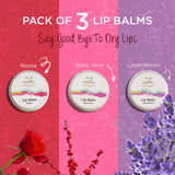 Lip Balm Bundle - Pack of 3