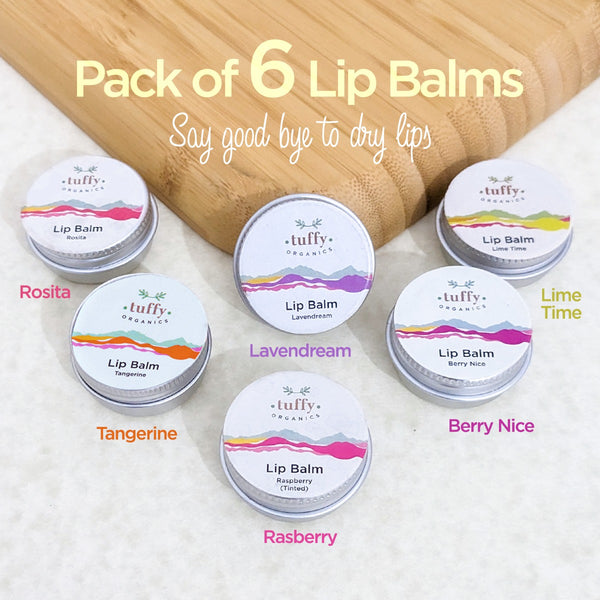 Lip Balm Bundle (Pack of 6)