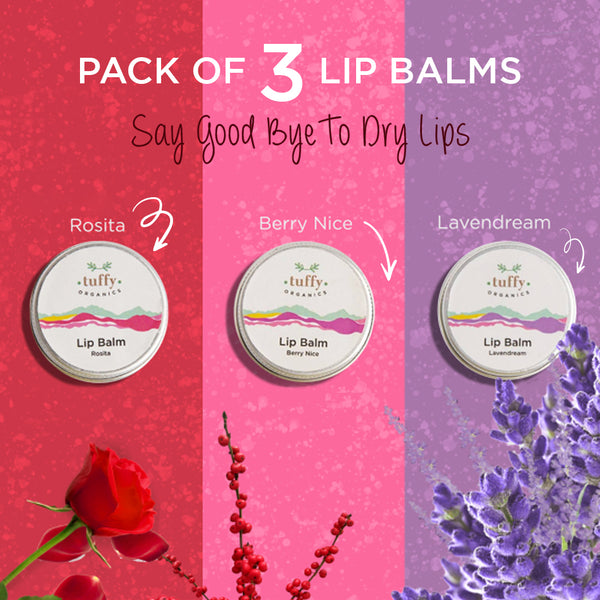 Lip Balm Bundle - Pack of 3